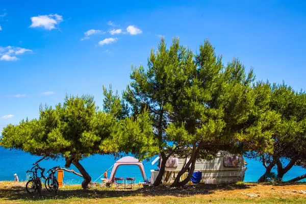 Arena Stupice Campsite