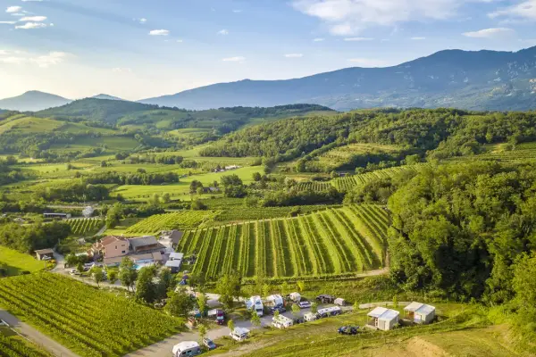 Saxida Wine & Camping Resort