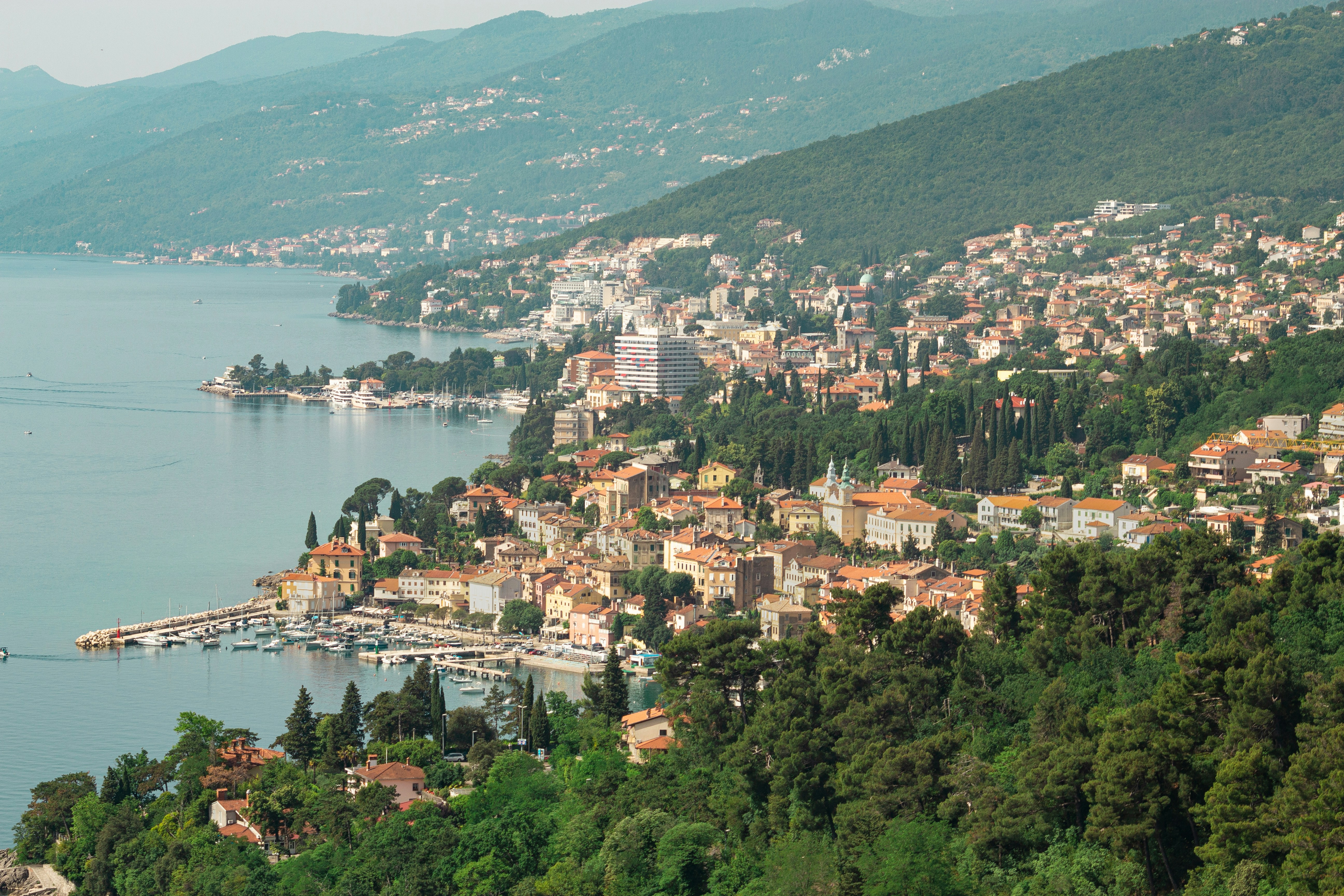 Kristallklares Wasser und Pinien an der Küste der Kvarner Bucht in Kroatien